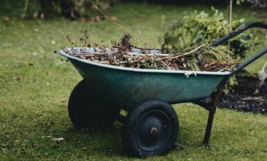 Jardinage branchage déchets verts brouette outils©Annie Spratt